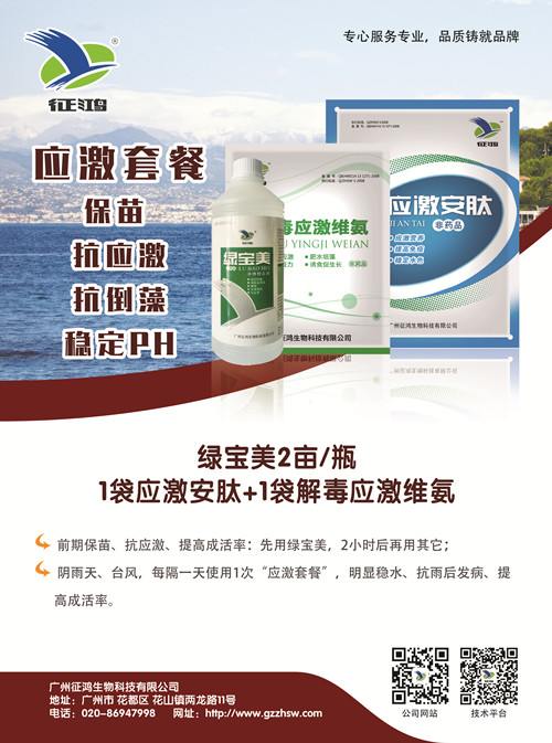 多雨引起对虾应激的原因及应对措施