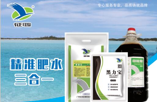 不同养殖塘口，精准肥水